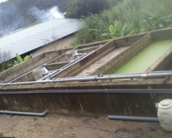 Cung cấp vi sinh xử lý nước thải Nhà máy chế biến Cafe VOCO tỉnh Lâm Đồng
