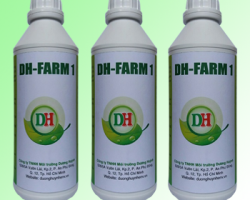 DH-Farm 1 Chuyên Gia Trong Xử Lý Mùi Chăn Nuôi
